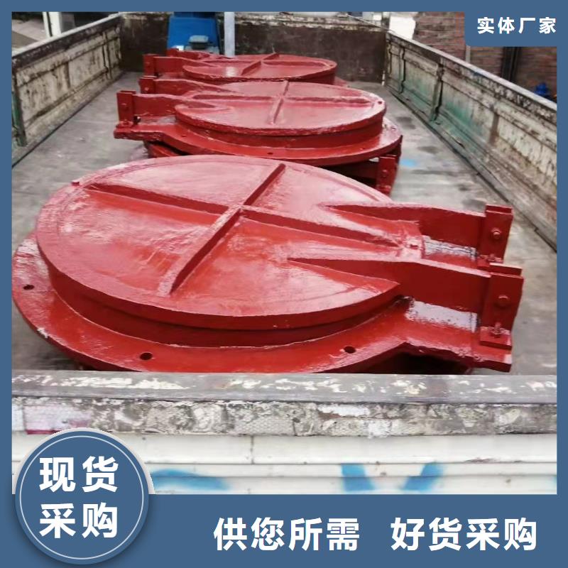 球墨铸铁闸门规格齐全同城制造商