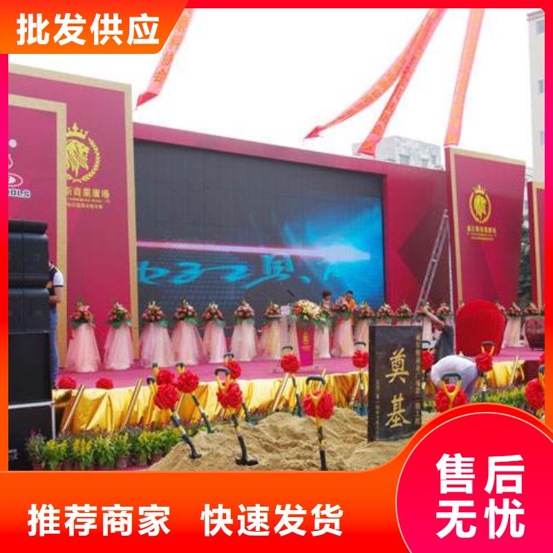 优质的启动道具租赁发光小树苗【无中间商】实力雄厚品质保障