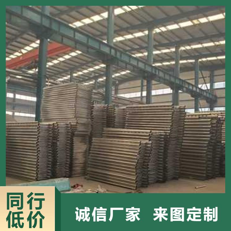 护栏_诚信为本实力工厂