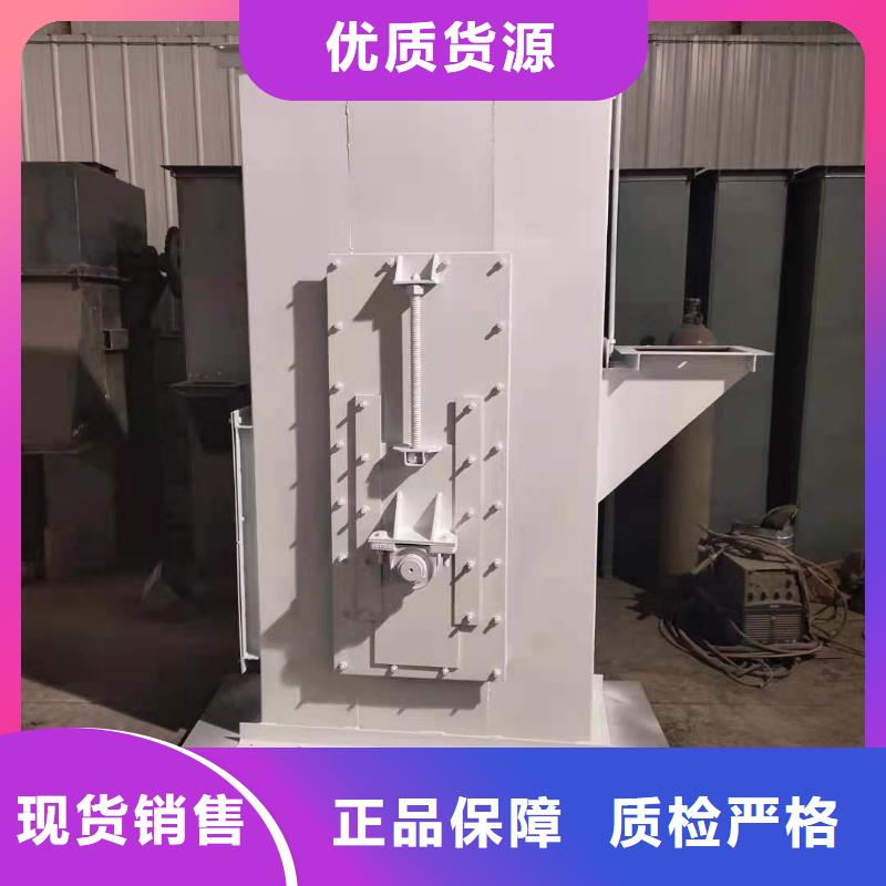 NE100链板斗式机采购价格当地公司