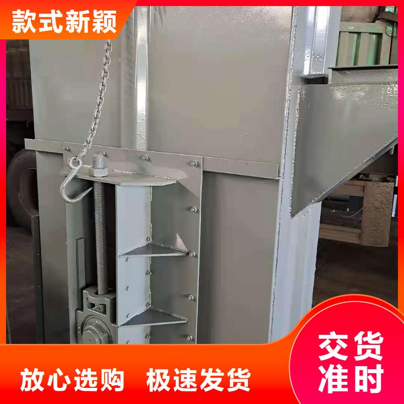NE板链型斗式机服务为先您想要的我们都有