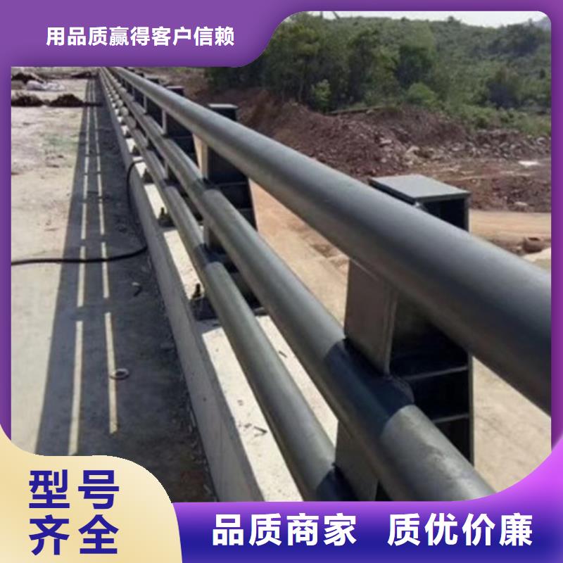 新型桥梁护栏行情报价专业生产团队