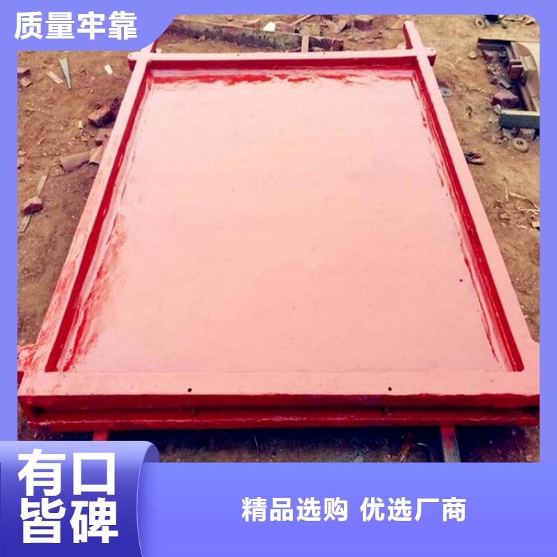 平面手电两用闸门售后无忧源头厂家量大价优