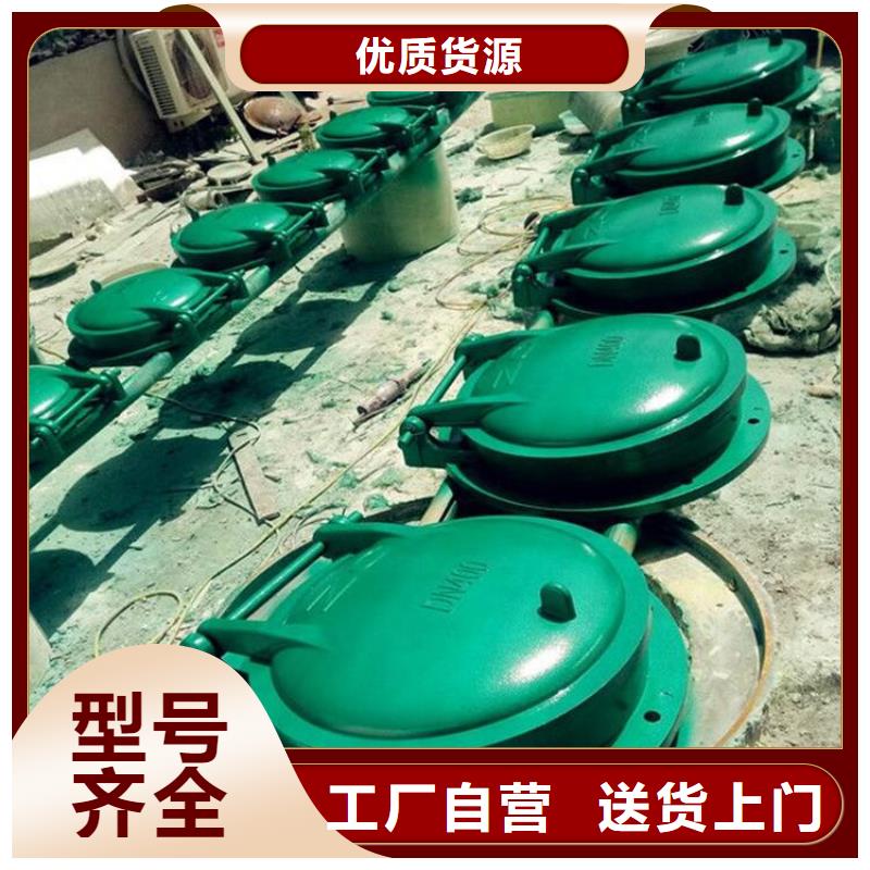 大关镶铜铸铁闸门型号齐全当地厂家值得信赖