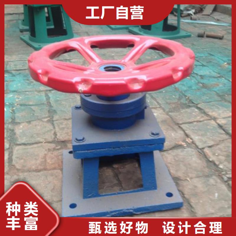 20吨启闭机种植基地准时交付