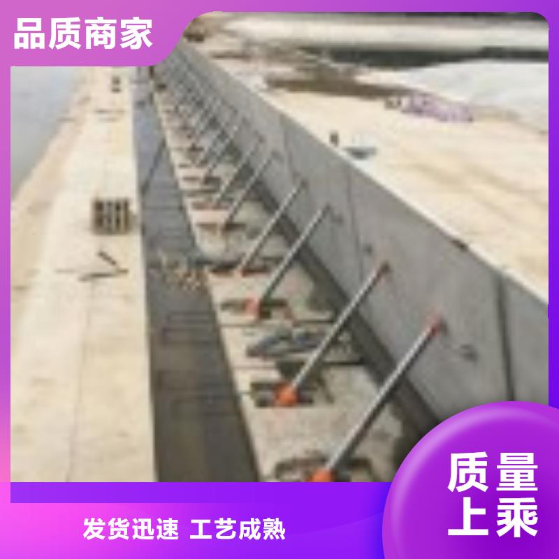 水电站钢制闸门质量优追求品质