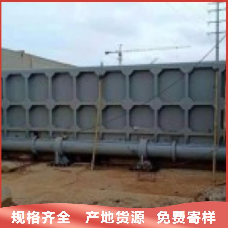 平面定轮闸门发货及时同城制造商