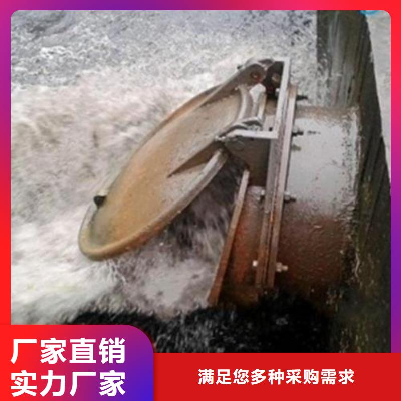钢制拍门售后完善服务始终如一