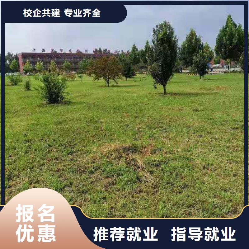 

去虎振学挖掘机

什么时候招生

能不能学得会正规培训