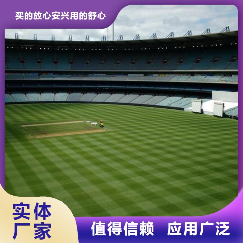 环氧地坪_支持定制售后无忧