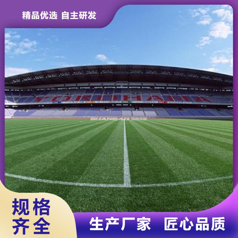 塑胶跑道施工常规型号大量现货品类齐全