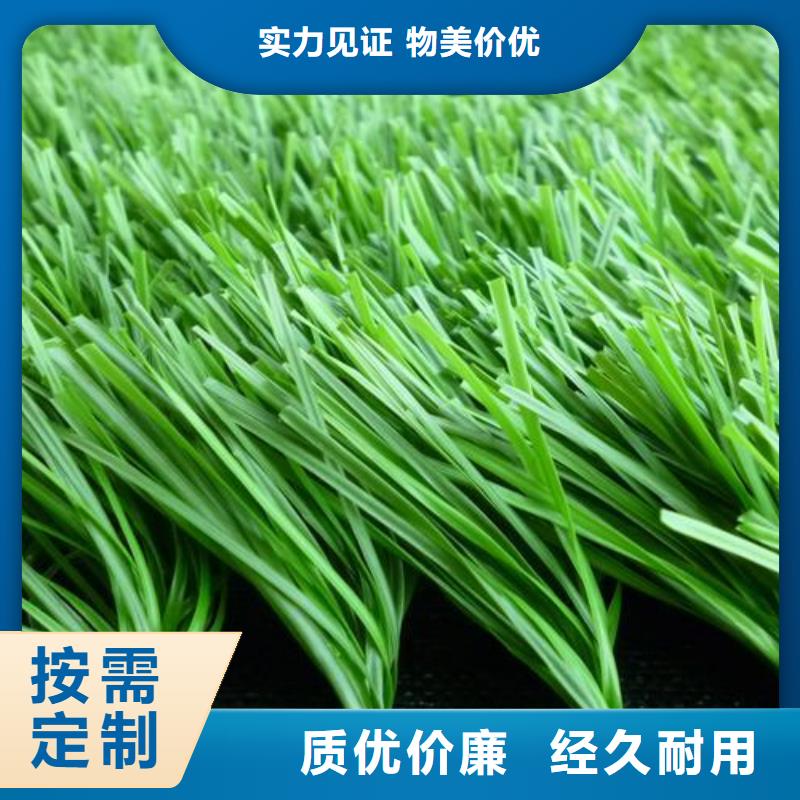人造草坪生产厂家厂家实力强大厂家直营