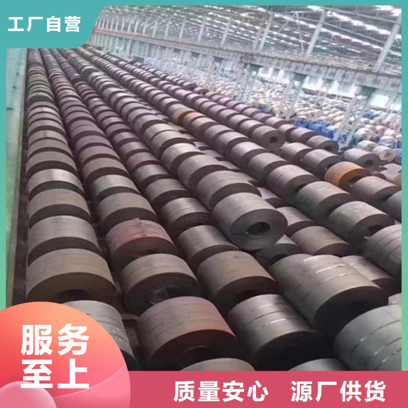 宝钢H涂层电工钢卷B50A700、宝钢H涂层电工钢卷B50A700厂家同城制造商