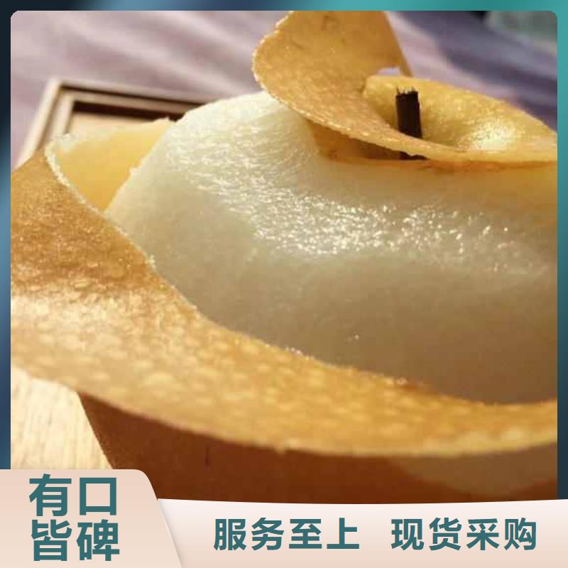 秋月梨种植苗高产品种现货实拍