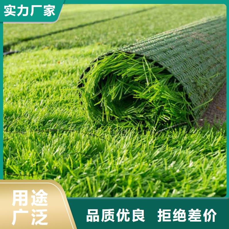 仿真人工草坪好口碑生产加工