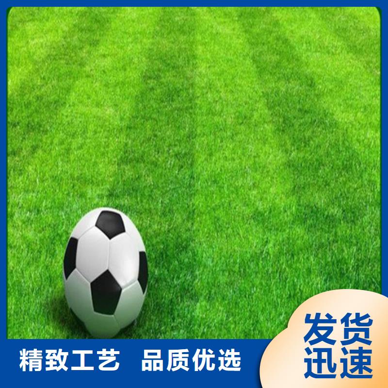 球场人造草坪供应本地公司
