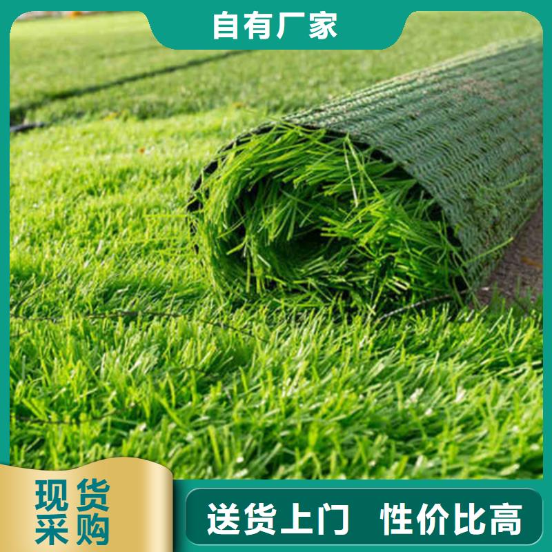 口碑好的球场人造草坪供货商N年生产经验