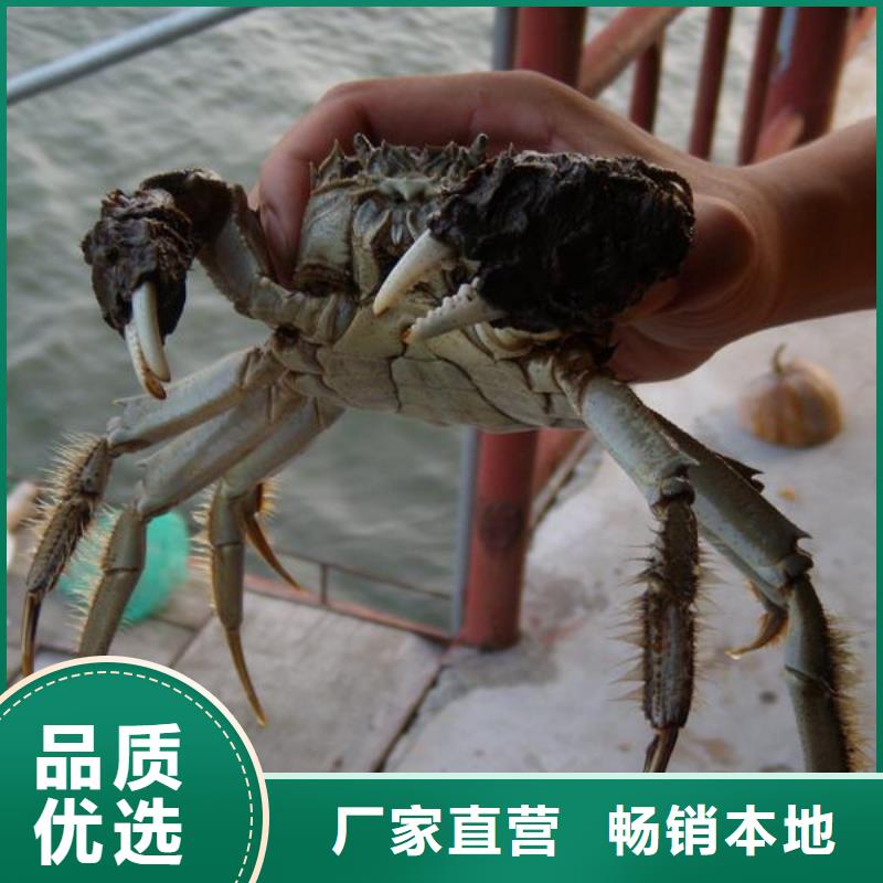 丹凤县阳澄湖农家乐同城制造商