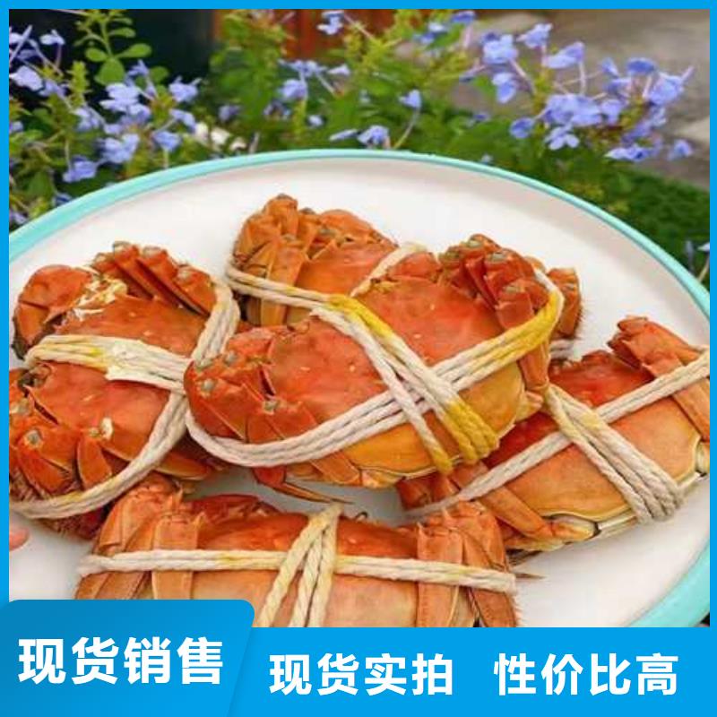 拱墅阳澄湖大闸蟹批发设计合理