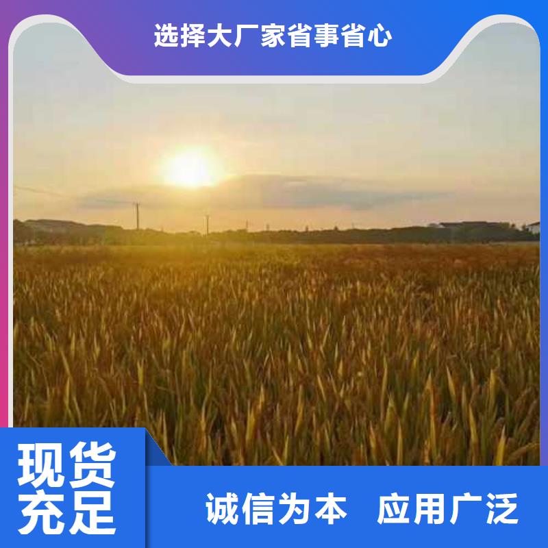 阳澄湖大闸蟹无差价直销源头工厂