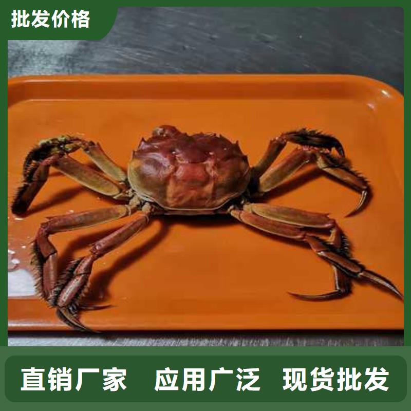 大闸蟹实力厂家质量稳定好货直销