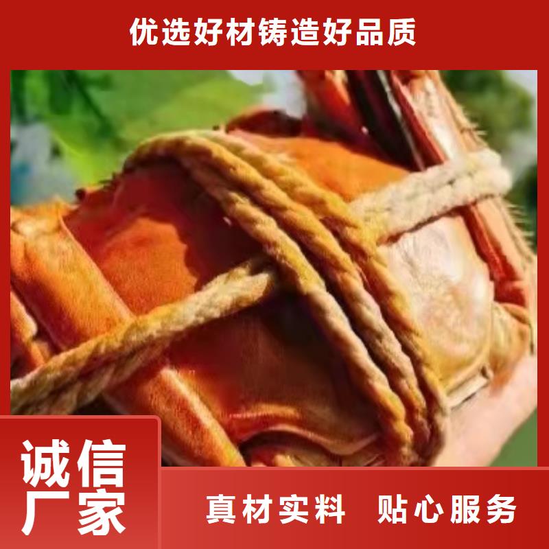 批发阳澄湖大闸蟹的当地厂家厂家现货批发