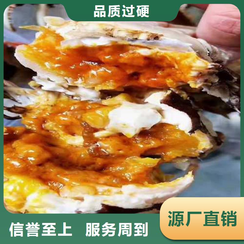 临安区阳澄湖大闸蟹价格产品性能