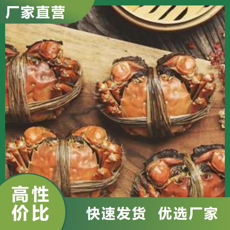 阳澄湖大闸蟹厂家支持定制热销产品