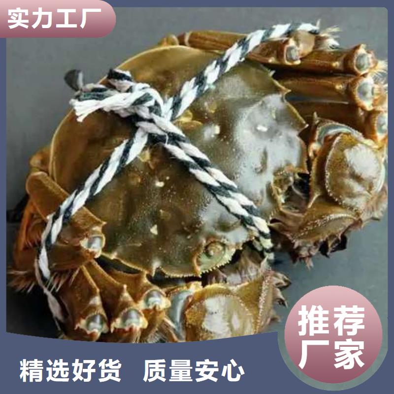 阳澄湖大闸蟹企业-让您放心同城服务商