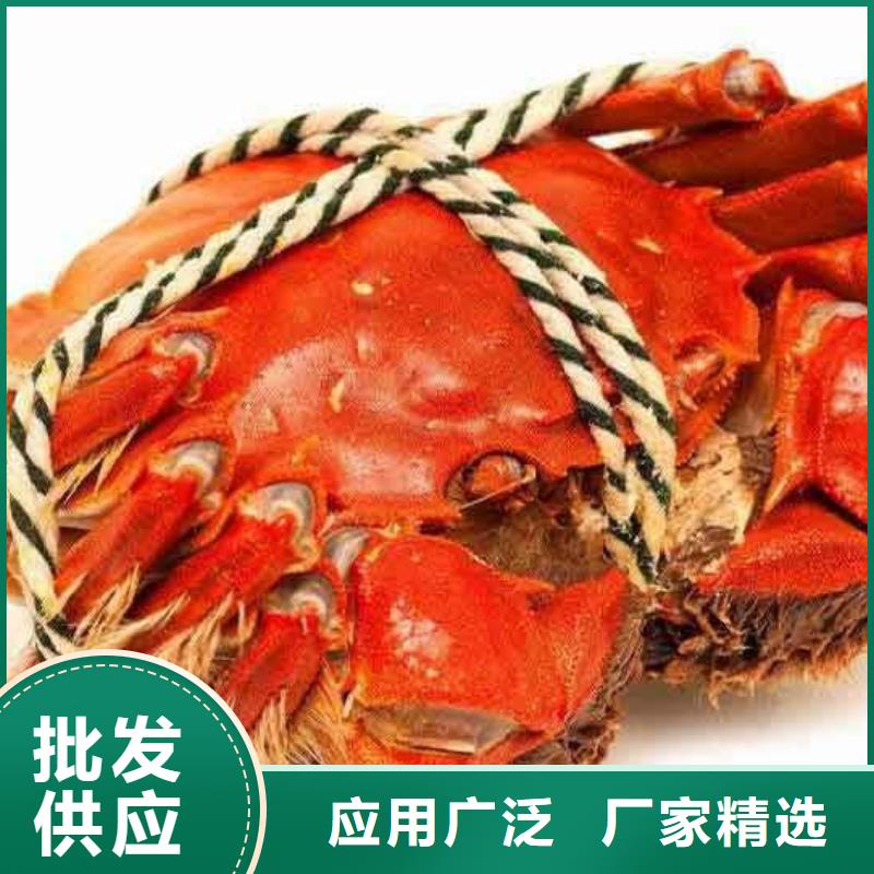 阳澄湖大闸蟹质量稳定定制销售售后为一体