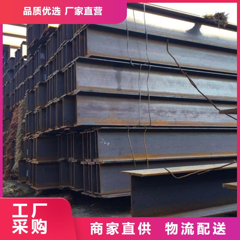 Q355D热轧H型钢库存充足同城公司