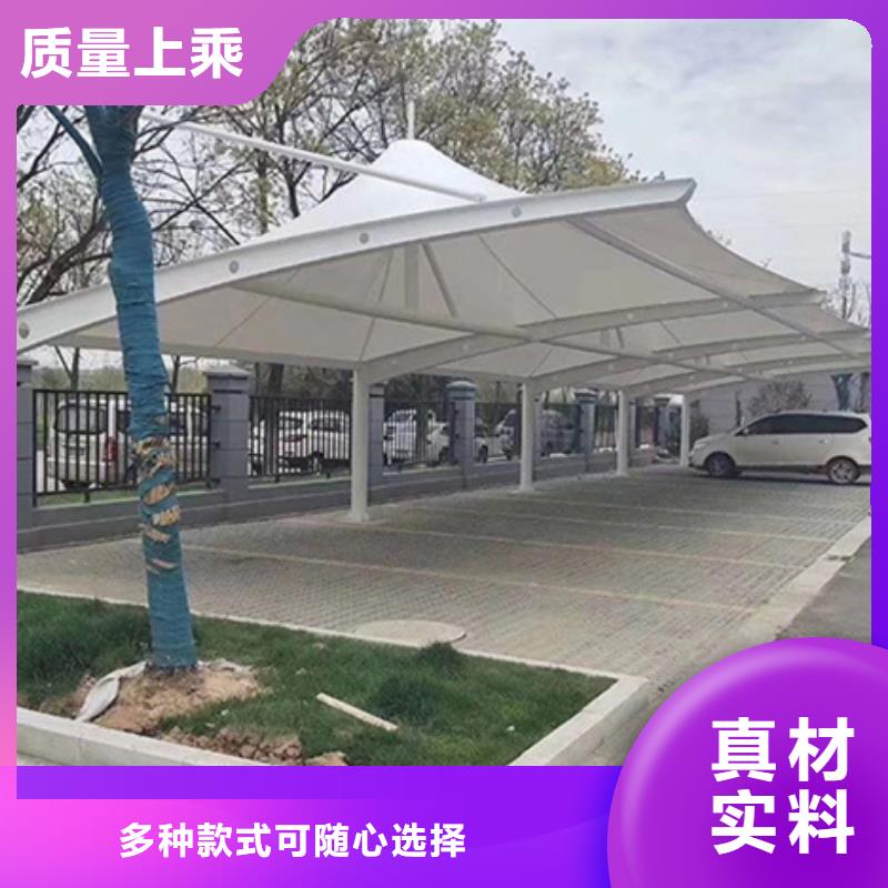 自行车停车棚本地厂家专业的生产厂家