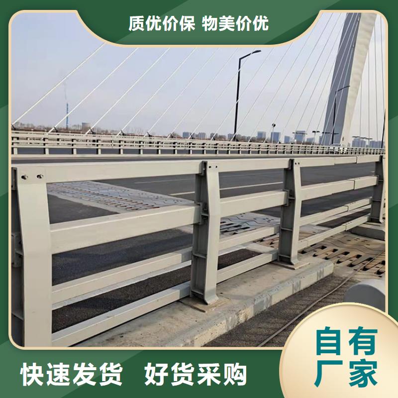 公园防撞护栏-为您放心得选择