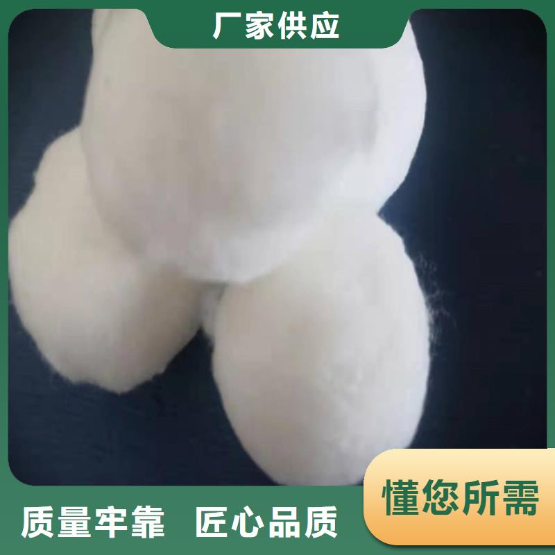 纤维球滤料规格齐全货号2-101精工打造