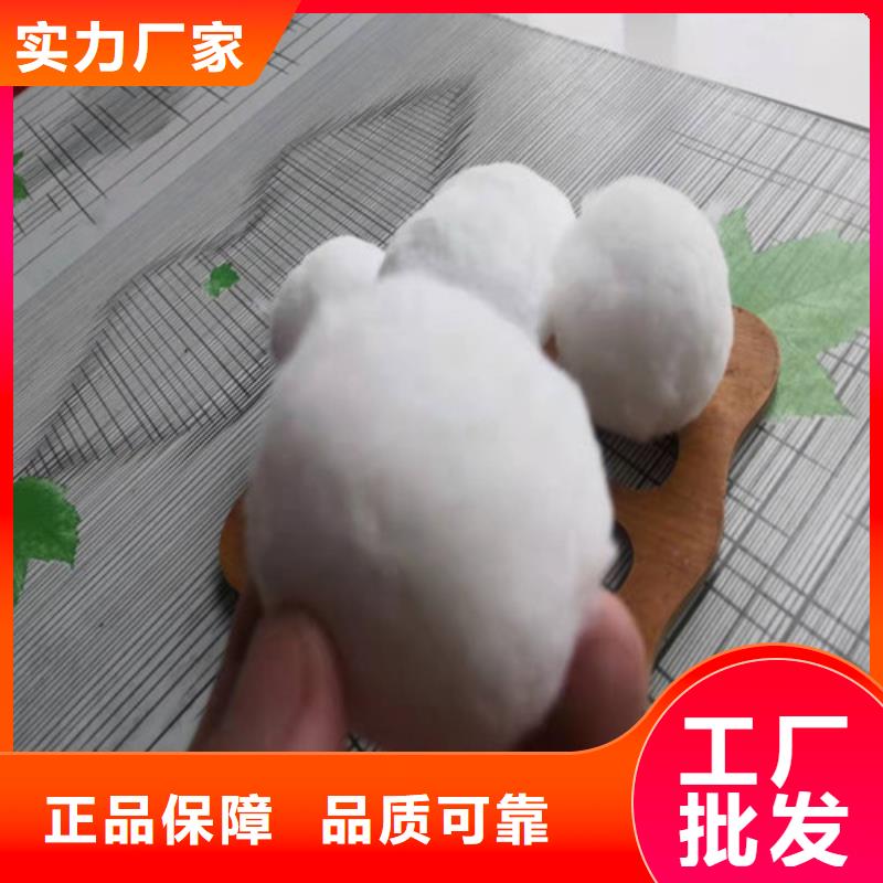 优质纤维球滤料品质过关货号2-101让利客户