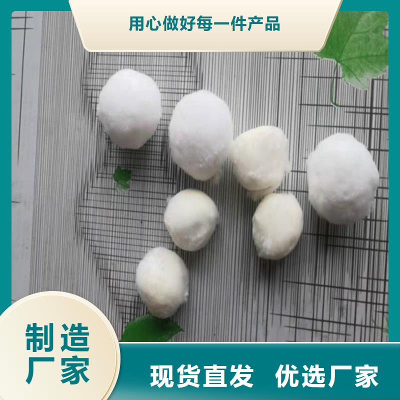 纤维球滤料按需定制货号2-101一站式采购
