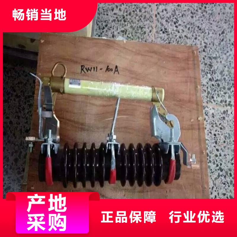 -跌落式熔断器RW3-10KV-200A价格有优势