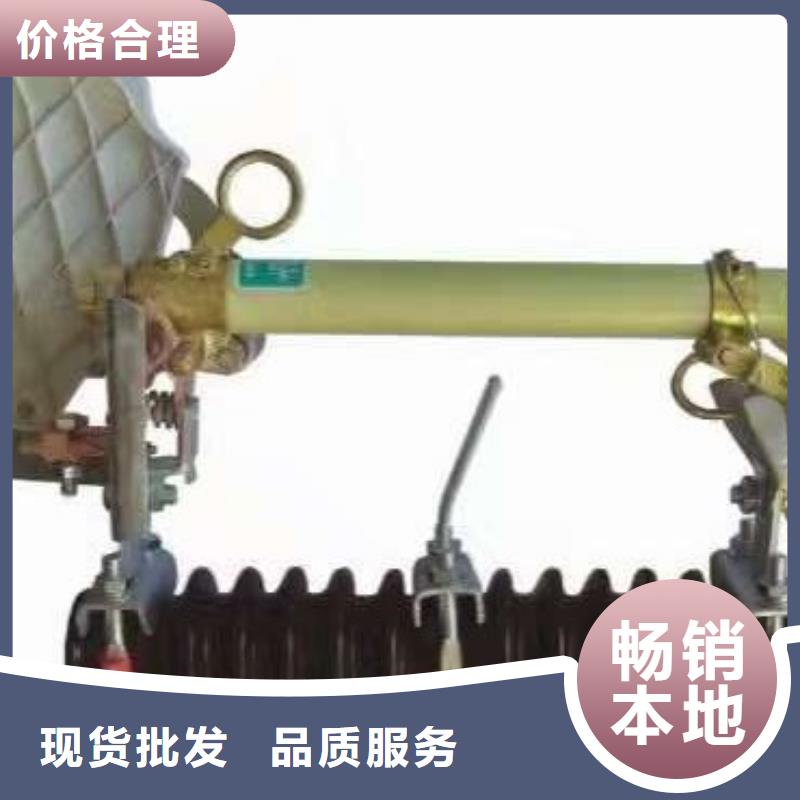 高压熔断器/RW4-10KV/100A【浙江羿振电气有限公司】一个起售