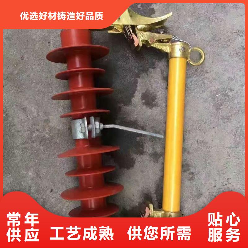 -户外高压交流跌落式熔断器PRW-10F/100A当地公司