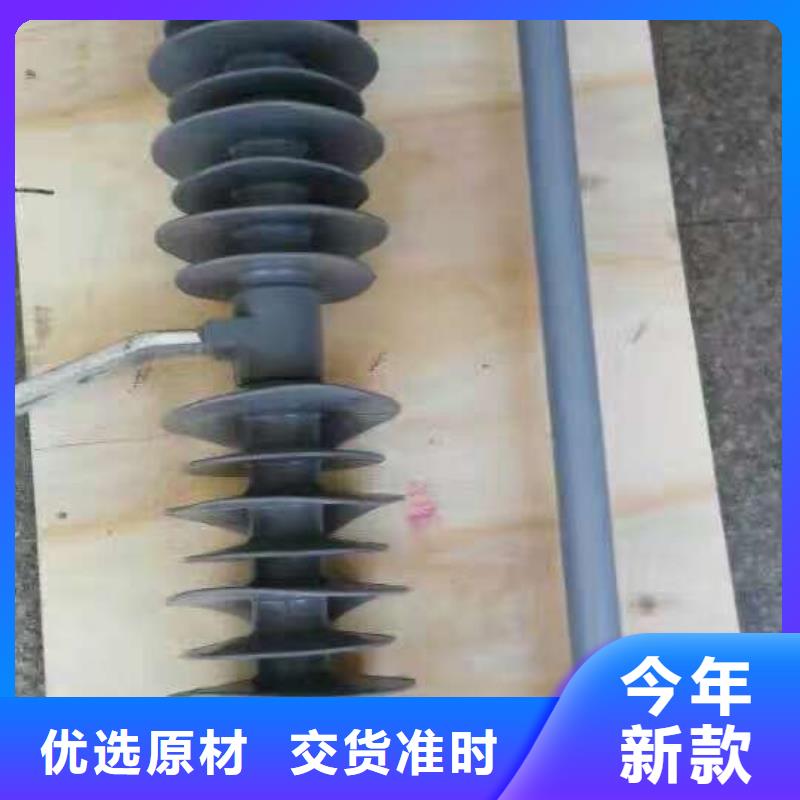户外高压(喷射式)跌落式熔断器PD3-10/100A当地服务商