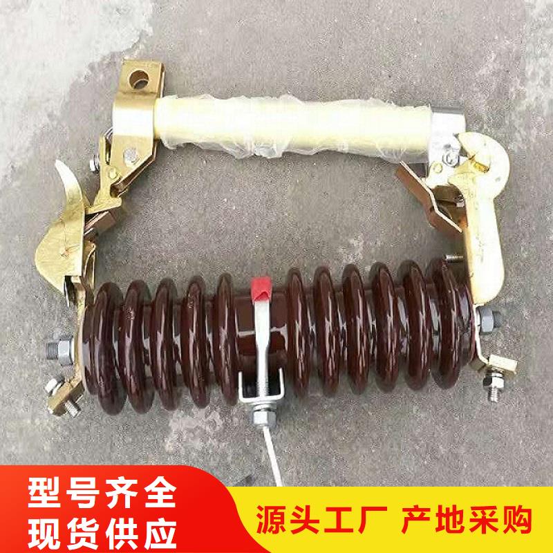 _避雷器Y10W1-96/328GW【羿振电气】专注生产制造多年
