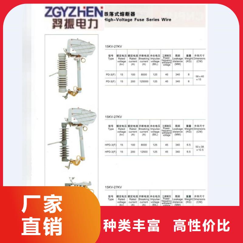 【跌落式熔断器】RW12-15KV/100A本地公司