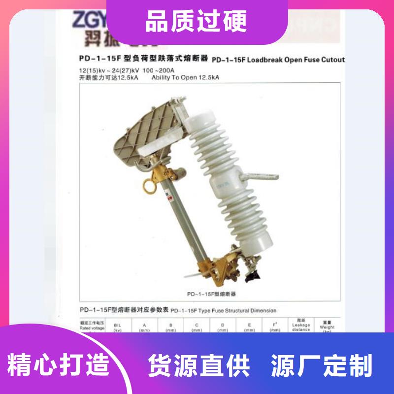 【】跌落式熔断器RW11-10/200A当地品牌