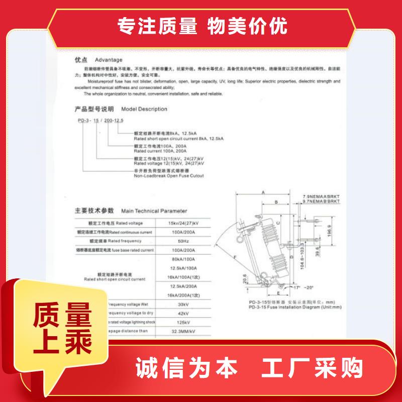 高压熔断器RW12-10F/200A满足客户需求