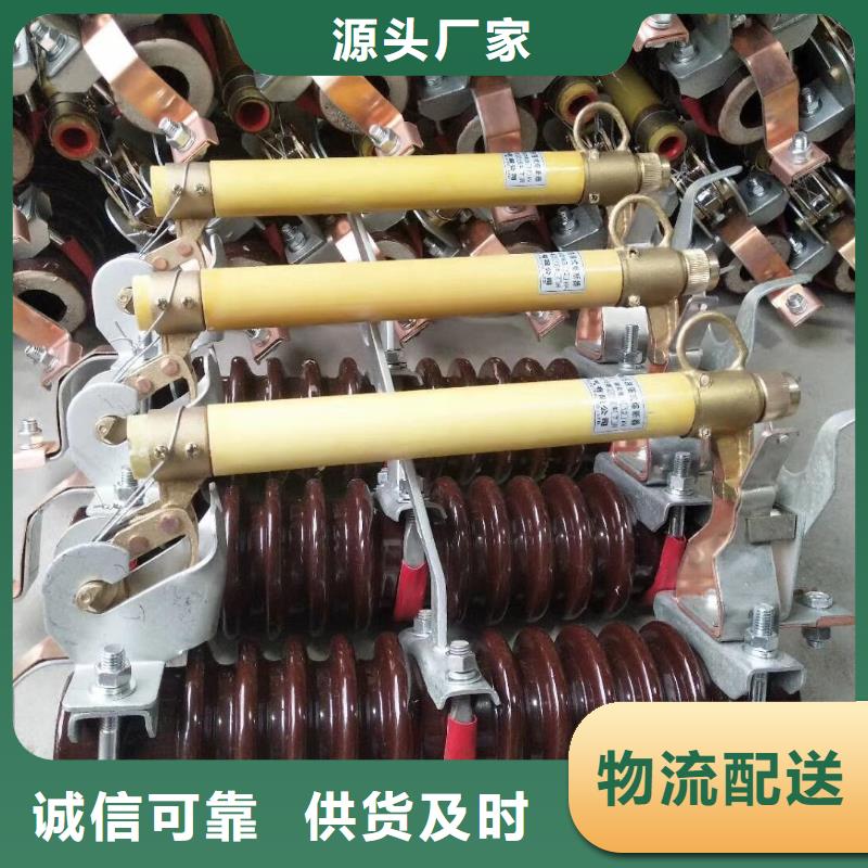 【】跌落式熔断器PRWG2-35/200A用心服务