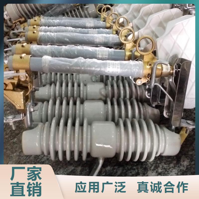 防风型跌落式熔断器HGRW-35/200A本地服务商