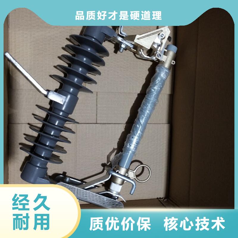 高压熔断器/RW11-10F/100诚信经营
