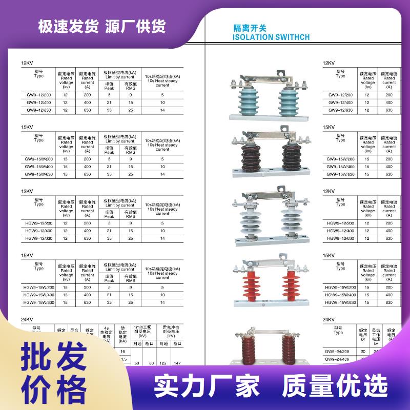 [江门]高压隔离开关HGW9-10G/200-价格实惠闪电发货