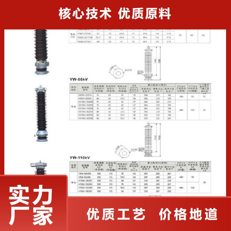 避雷器YH5WX-96/250【浙江羿振电气有限公司】严格把控质量