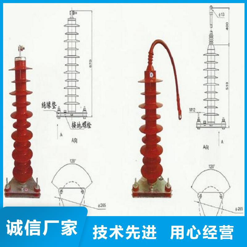 【避雷器】YH2.5WD5-13.5/37L同城品牌